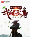 小说从锦衣卫到武林至尊