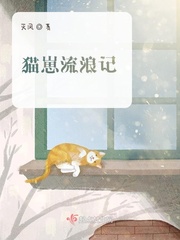 流浪猫幼崽一般在哪里