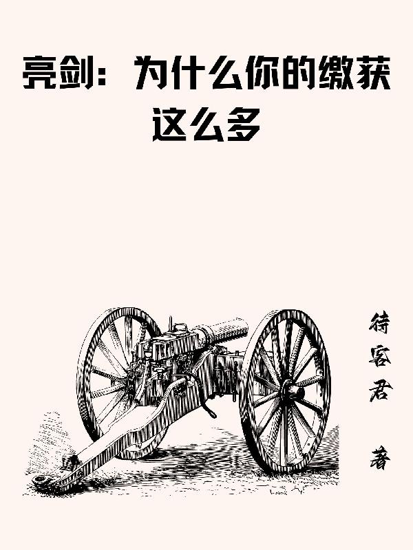 亮剑为什么这么成功