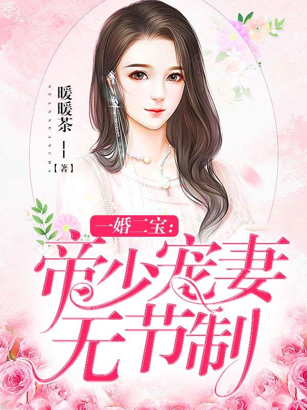 一婚二宝:帝少宠妻无节制 暖暖茶