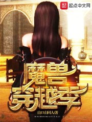 《魔兽之穿越传奇》